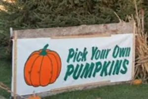 Harvest Hills Farms