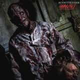 Schmitt's Farm Haunt photo