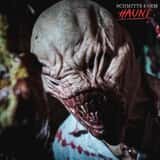 Schmitt's Farm Haunt photo