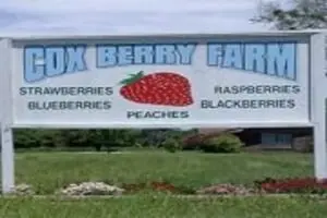 Cox Berry Farm Pumpkin Patch