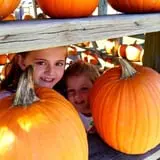 Vollmer Farm photo