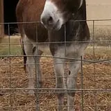 Vollmer Farm photo