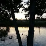 Vollmer Farm photo
