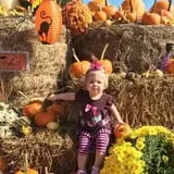 Vollmer Farm photo