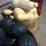 Red Wagon Farm Pumpkin Festival photo