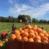 Red Wagon Farm Pumpkin Festival photo