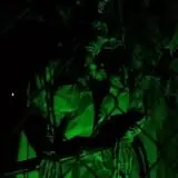 Coffinwood Manor photo