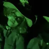 Scare Manor photo