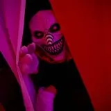 Scare Manor photo