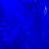 Scare Manor photo