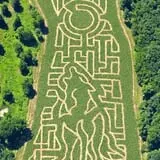 Coppal House Farm Corn Maze & Wagon Rides photo