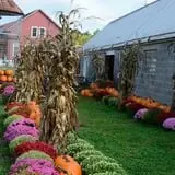 Coppal House Farm Corn Maze & Wagon Rides photo