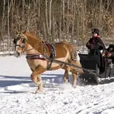 Coppal House Farm Corn Maze & Wagon Rides photo