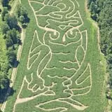 Coppal House Farm Corn Maze & Wagon Rides photo