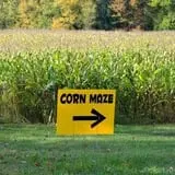 Coppal House Farm Corn Maze & Wagon Rides photo