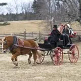 Coppal House Farm Corn Maze & Wagon Rides photo