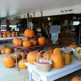 Coppal House Farm Corn Maze & Wagon Rides photo