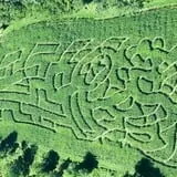 Coppal House Farm Corn Maze & Wagon Rides photo