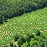 Coppal House Farm Corn Maze & Wagon Rides photo