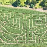 Coppal House Farm Corn Maze & Wagon Rides photo