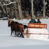 Coppal House Farm Corn Maze & Wagon Rides photo