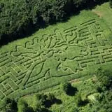 Coppal House Farm Corn Maze & Wagon Rides photo