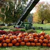 Coppal House Farm Corn Maze & Wagon Rides photo