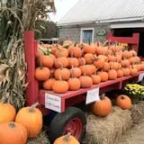 Coppal House Farm Corn Maze & Wagon Rides photo