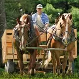 Coppal House Farm Corn Maze & Wagon Rides photo