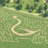 Coppal House Farm Corn Maze & Wagon Rides photo