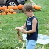 Coppal House Farm Corn Maze & Wagon Rides photo