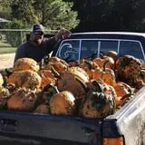 DJ's Berry Patch photo