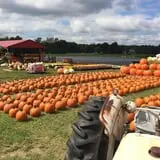 DJ's Berry Patch photo