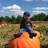 DJ's Berry Patch photo