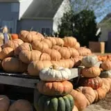 DJ's Berry Patch photo