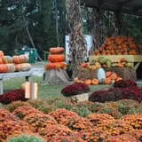 DJ's Berry Patch photo