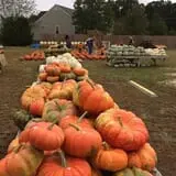 DJ's Berry Patch photo