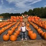DJ's Berry Patch photo