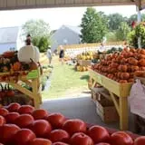 DJ's Berry Patch photo