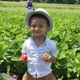 DJ's Berry Patch photo