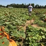 DJ's Berry Patch photo