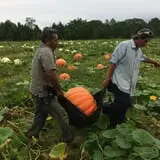 DJ's Berry Patch photo