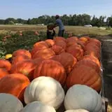 DJ's Berry Patch photo