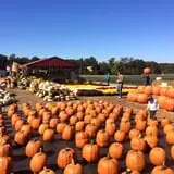DJ's Berry Patch photo