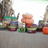 DJ's Berry Patch photo