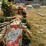 DJ's Berry Patch photo