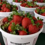 DJ's Berry Patch photo