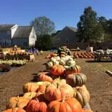DJ's Berry Patch photo
