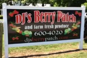 DJ's Berry Patch