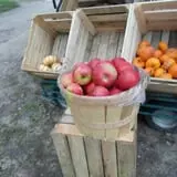 Rennie Orchards photo
